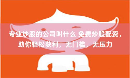 专业炒股的公司叫什么 免费炒股配资，助你轻松获利，无门槛，无压力