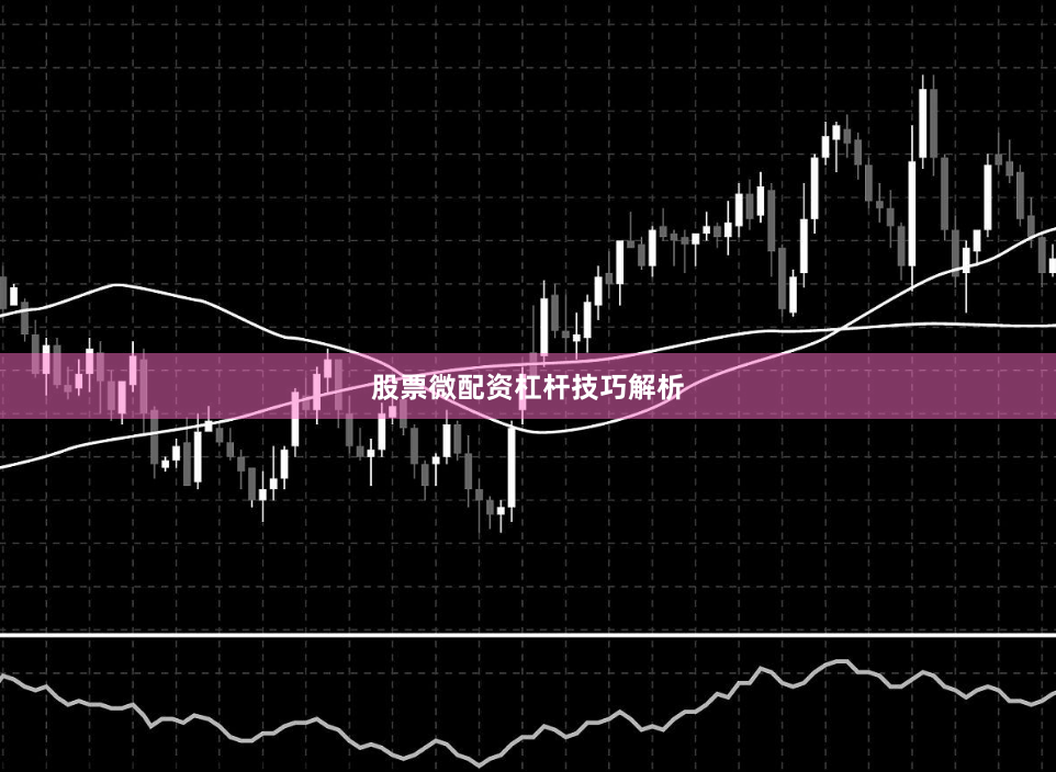 股票微配资杠杆技巧解析